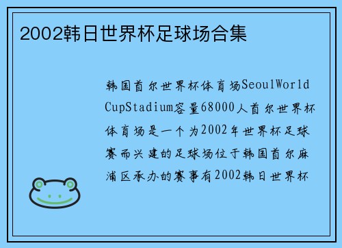 2002韩日世界杯足球场合集