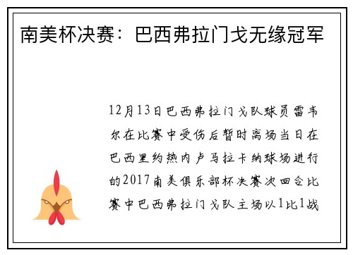 南美杯决赛:巴西弗拉门戈无缘冠军